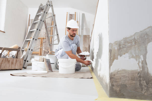 Best Drywall Removal and Disposal  in Lake Erie Beach, NY